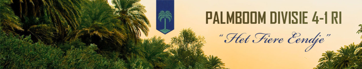 Palmboom Divisie 4-1 RI